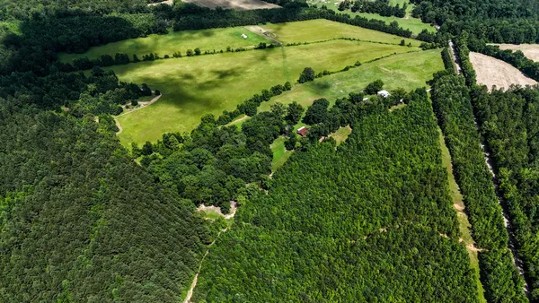 a view of outdoor space with trees