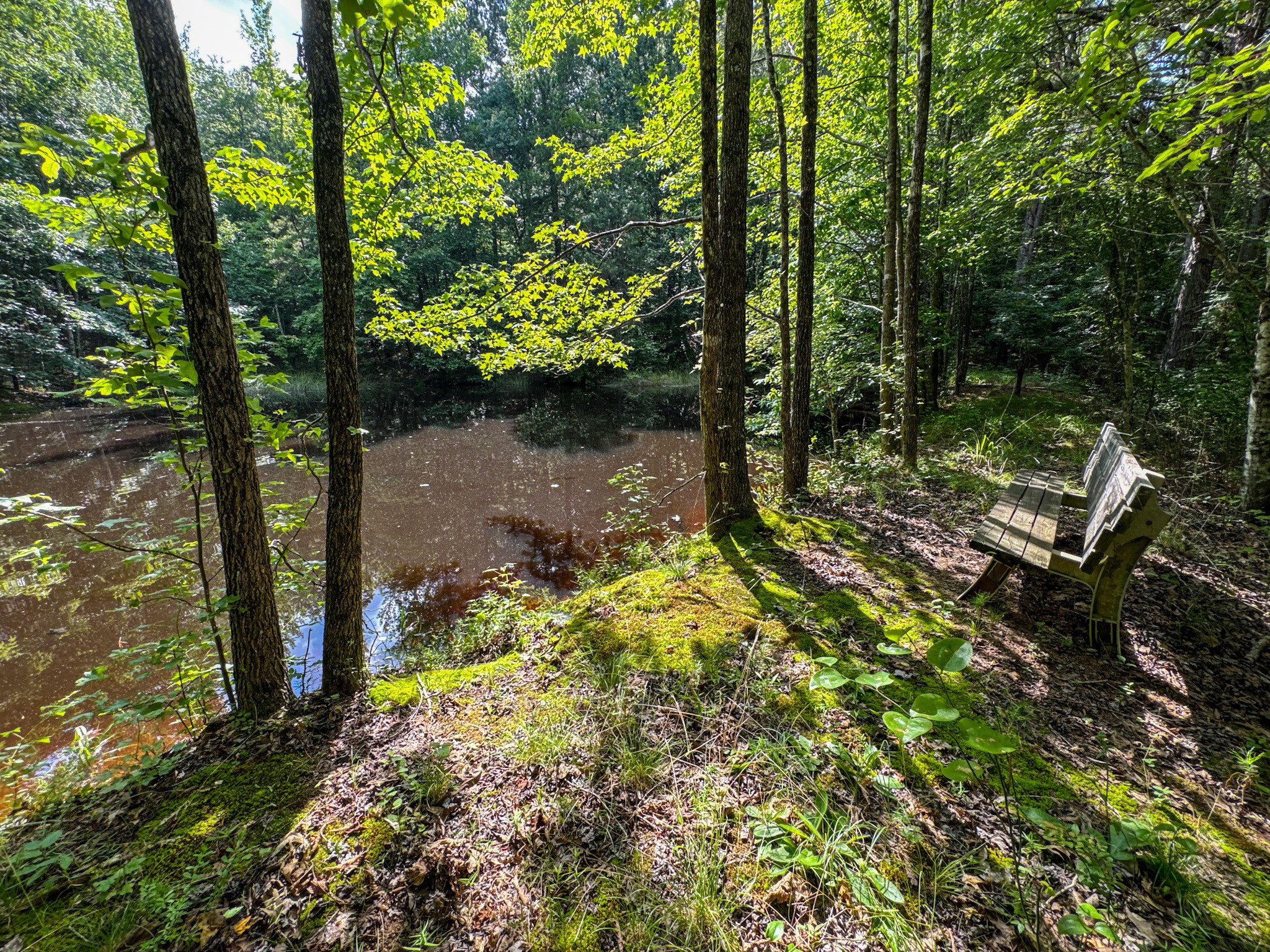 4791 Guys Chewalla Road Ramer, TN 38367 - Photo 5 of 77 a backyard of a house with lots of green space
