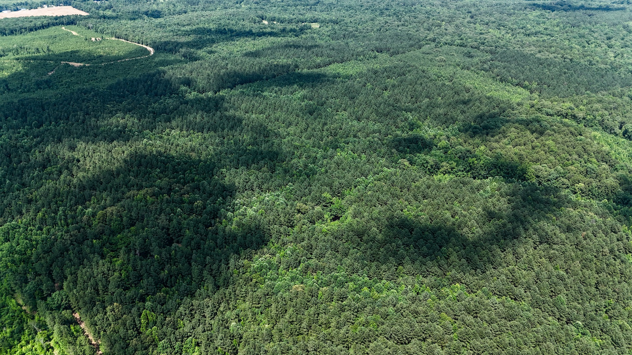 4791 Guys Chewalla Road Ramer, TN 38367 - Photo 52 of 77 a view of a lush green forest
