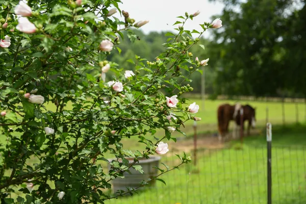 $1,499,000 | 4791 Guys Chewalla Road, Ramer, TN 38367