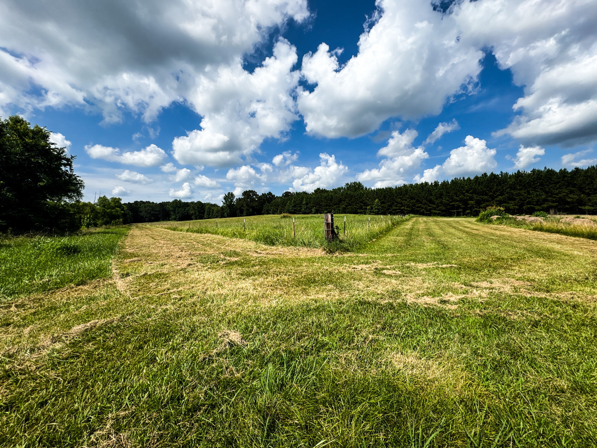 4791 Guys Chewalla Road Ramer, TN 38367 - Photo 6 of 77