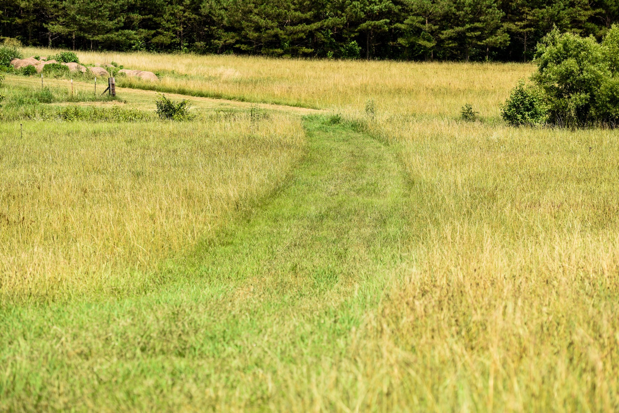 4791 Guys Chewalla Road Ramer, TN 38367 - Photo 64 of 77