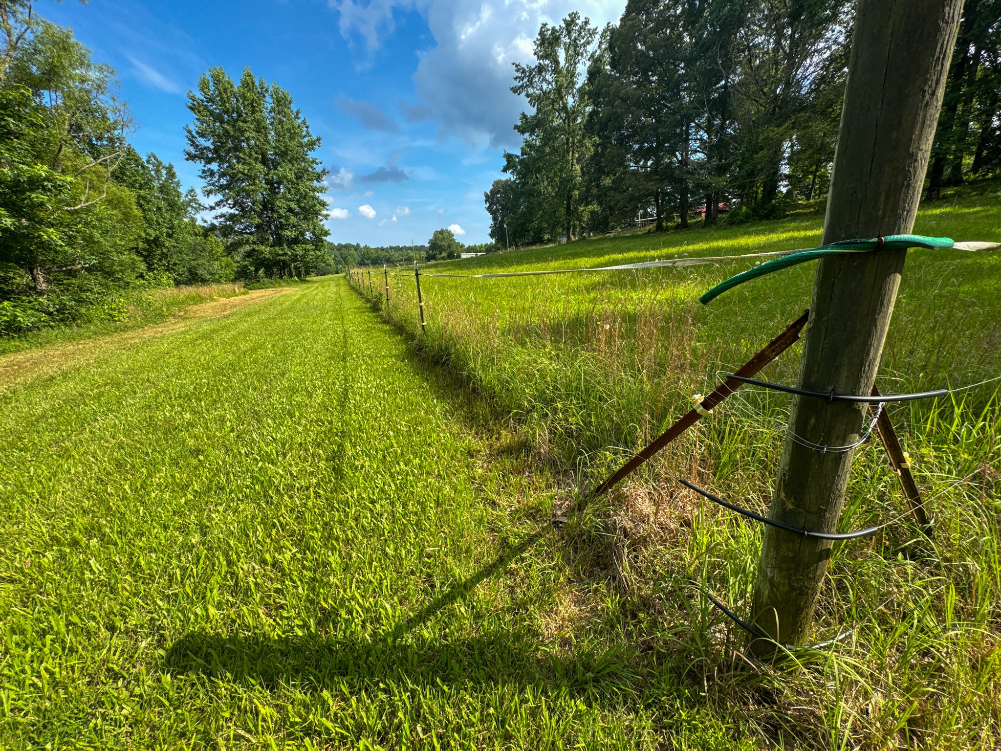 4791 Guys Chewalla Road Ramer, TN 38367 - Photo 65 of 77