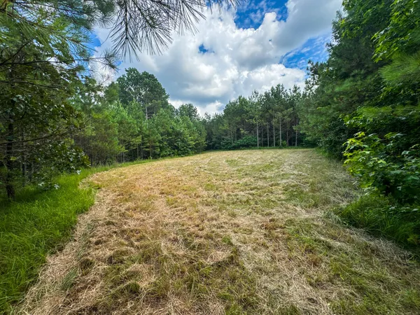 $1,499,000 | 4791 Guys Chewalla Road, Ramer, TN 38367
