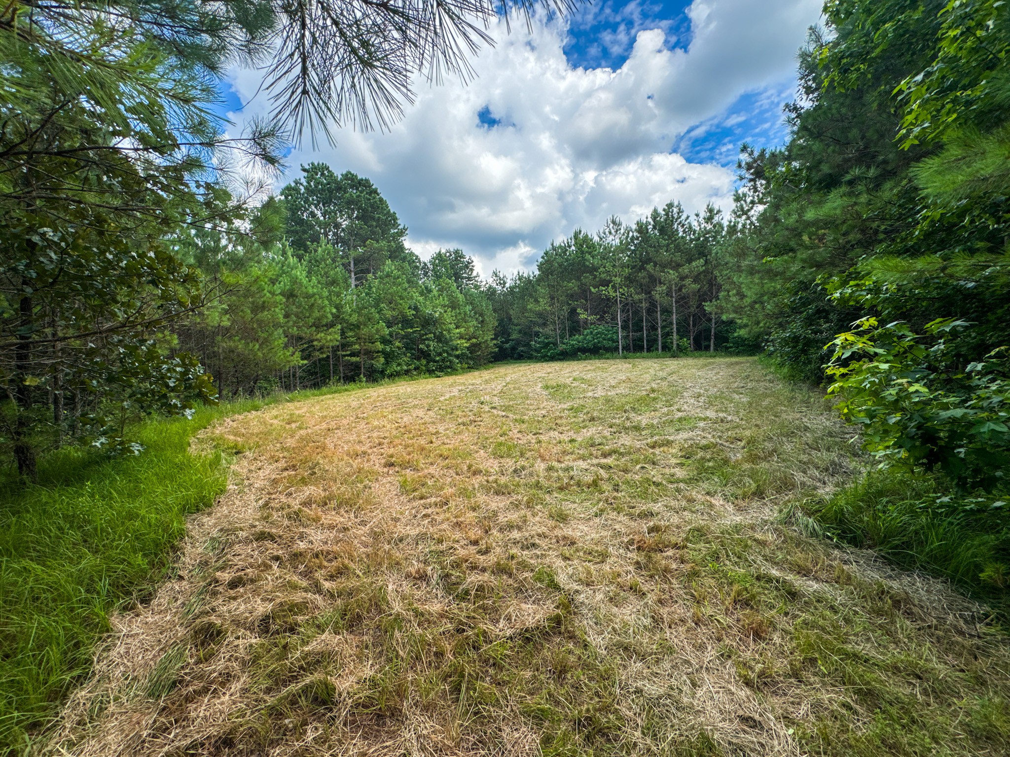 4791 Guys Chewalla Road Ramer, TN 38367 - Photo 66 of 77 a backyard of a house with lots of green space