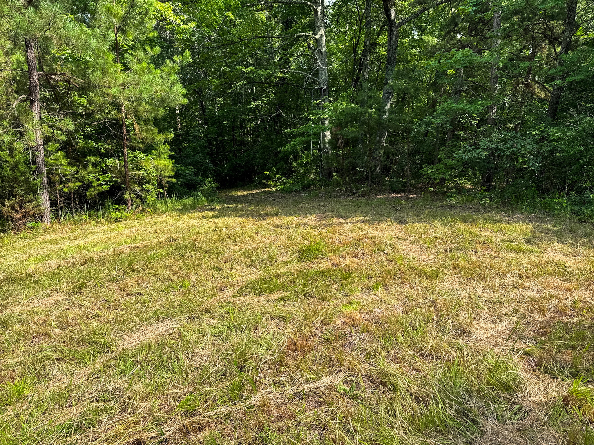 4791 Guys Chewalla Road Ramer, TN 38367 - Photo 67 of 77 a view of outdoor space and yard