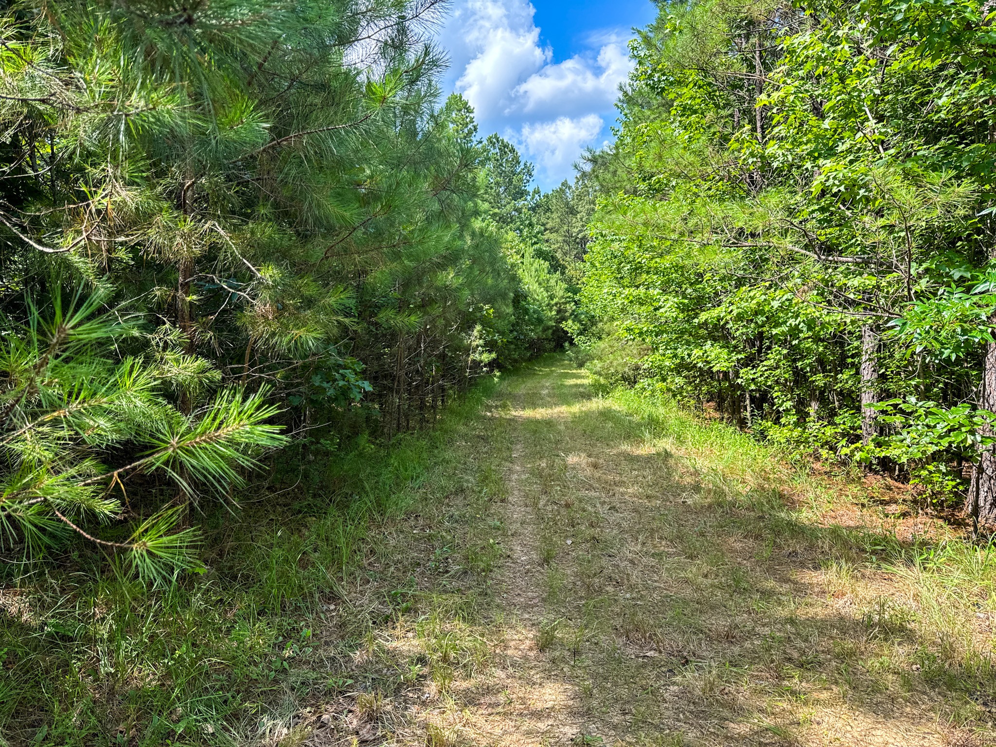 4791 Guys Chewalla Road Ramer, TN 38367 - Photo 68 of 77