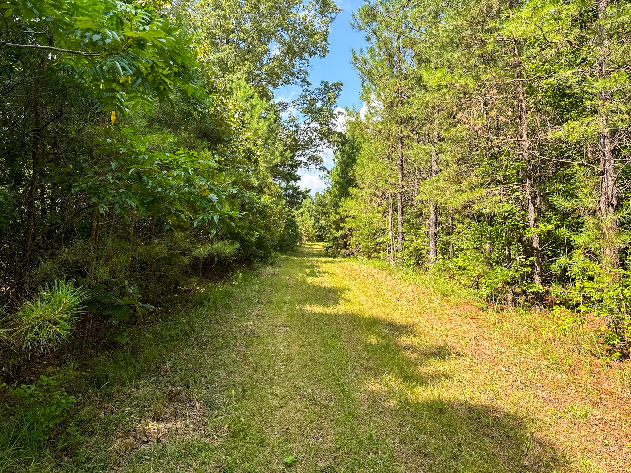 4791 Guys Chewalla Road Ramer, TN 38367 - Photo 69 of 77