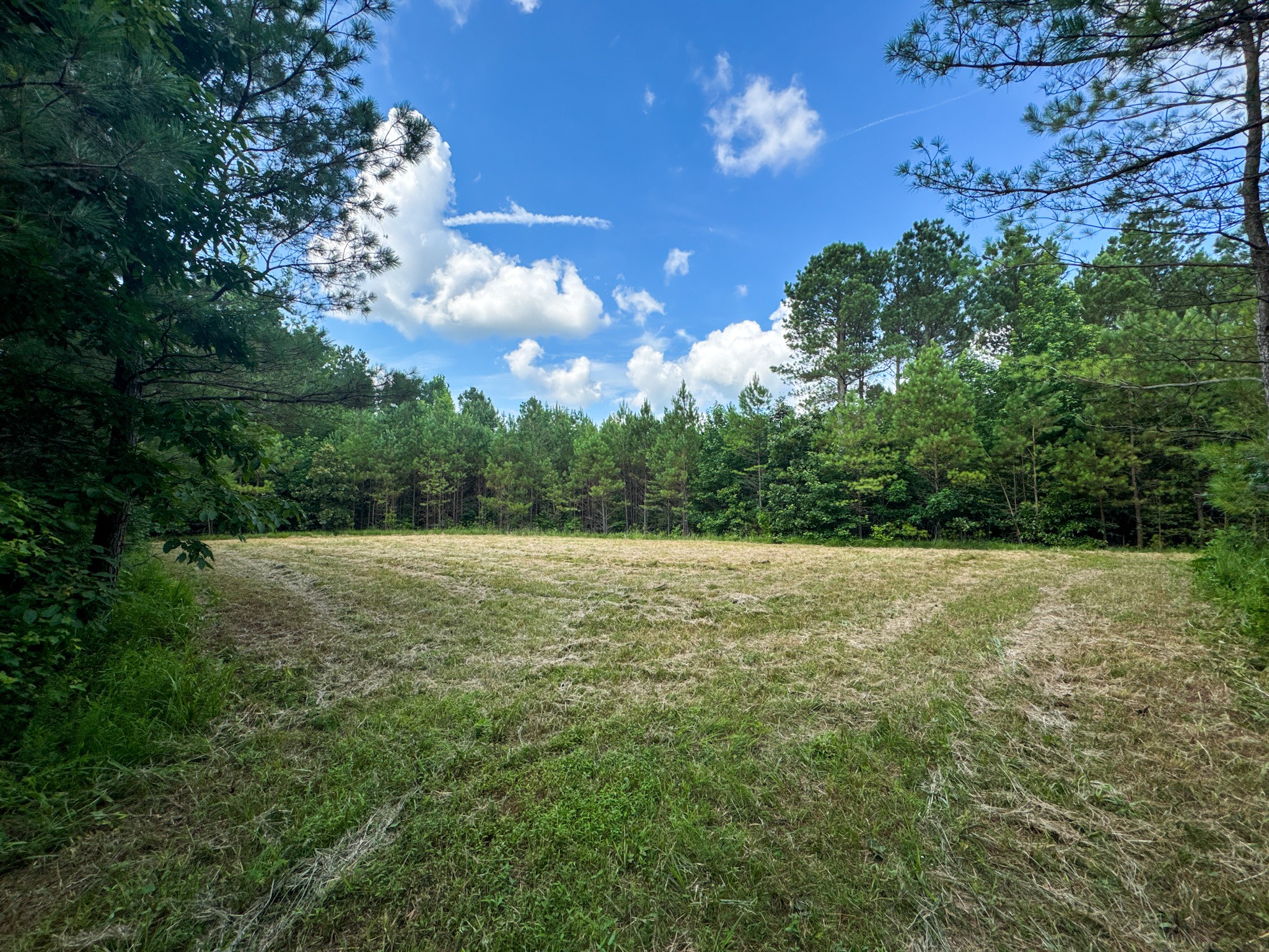 4791 Guys Chewalla Road Ramer, TN 38367 - Photo 70 of 77 a view of outdoor space and yard