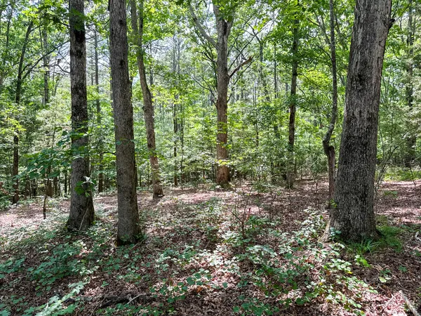 $1,499,000 | 4791 Guys Chewalla Road, Ramer, TN 38367