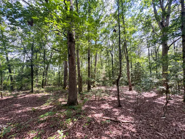 $1,499,000 | 4791 Guys Chewalla Road, Ramer, TN 38367