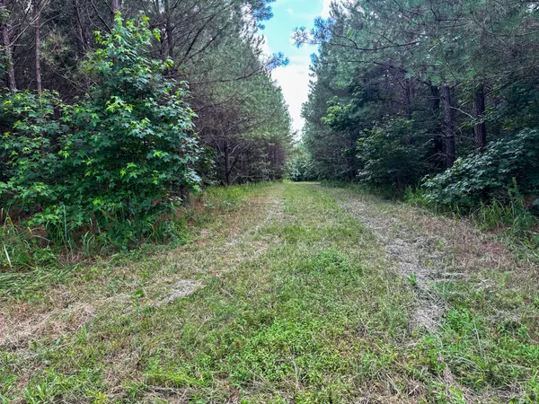 $1,499,000 | 4791 Guys Chewalla Road, Ramer, TN 38367