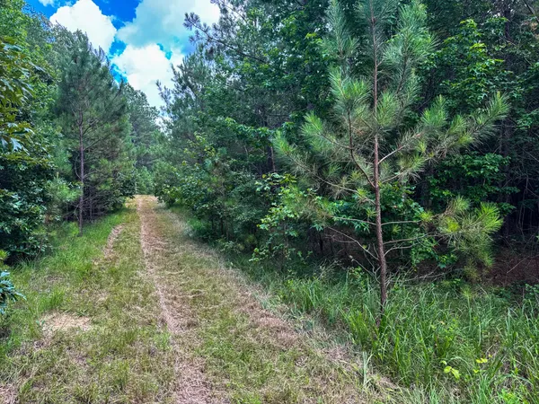 $1,499,000 | 4791 Guys Chewalla Road, Ramer, TN 38367