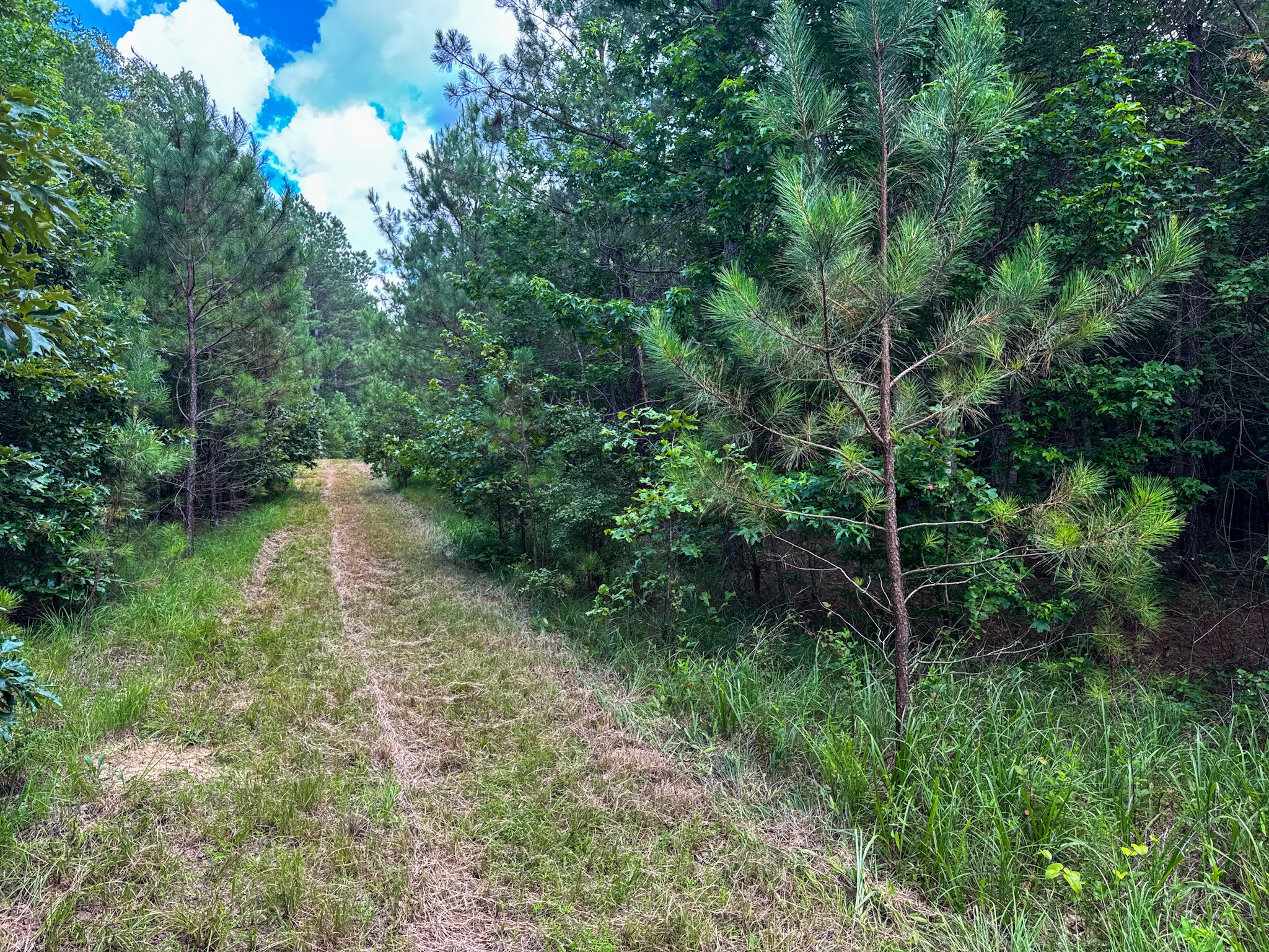 4791 Guys Chewalla Road Ramer, TN 38367 - Photo 77 of 77