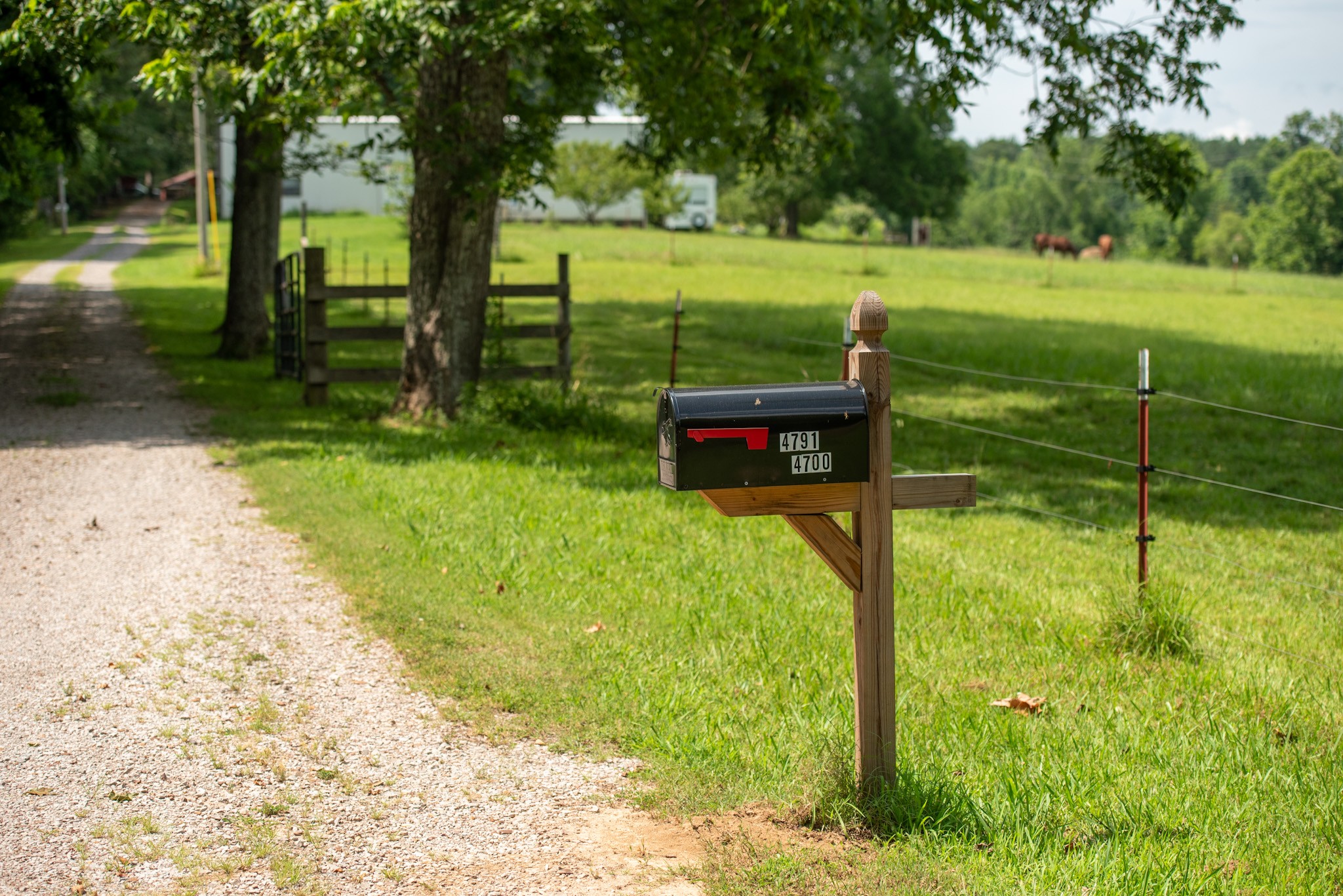4791 Guys Chewalla Road Ramer, TN 38367 - Photo 9 of 77 a view of a garden with an outdoor space