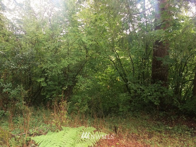 20250 Mountain View Road Northeast Duvall, WA 98019 - Photo 11 of 25 Gallery Image 11