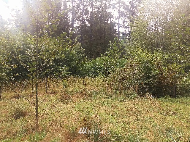 20250 Mountain View Road Northeast Duvall, WA 98019 - Photo 10 of 25 Gallery Image 10