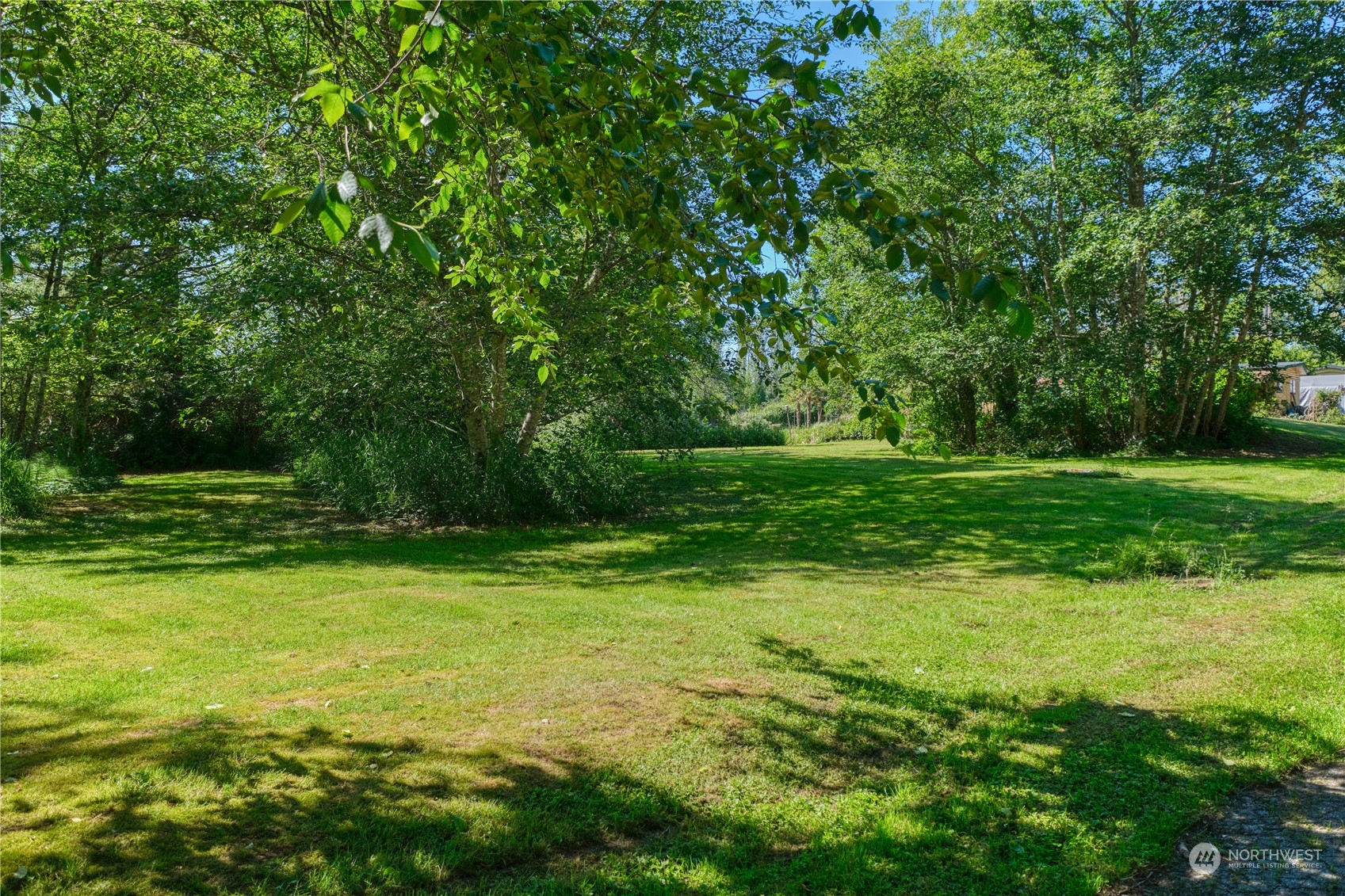 1721 Benson Road, Unit 119 Point Roberts, WA 98281 - Photo 23 of 24 a view of a grassy field with trees in the background