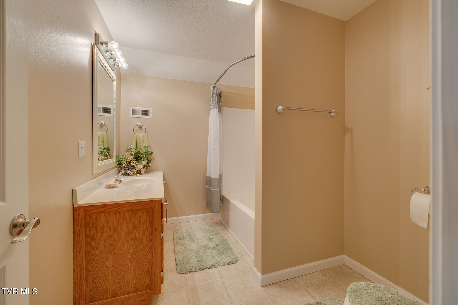 463 Pine Ridge Drive Afton, TN 37616 - Photo 28 of 43 028