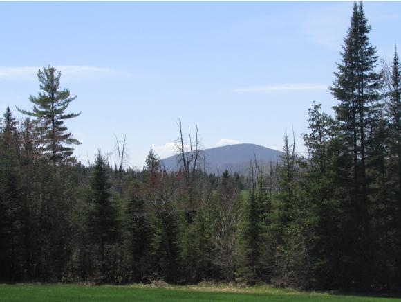 1151 Center Road Hardwick, VT 05843 - Photo 32 of 36