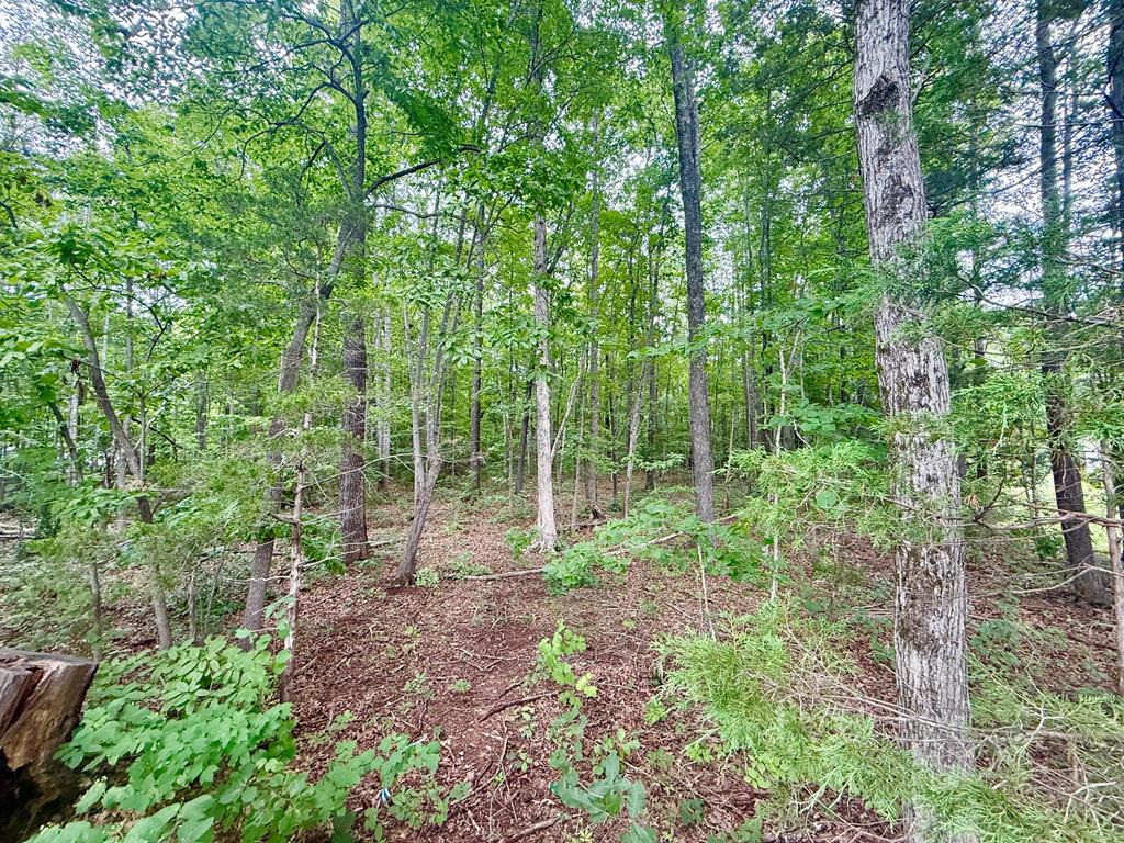 Forest Chapel Road Pamplin, VA 23958 - Photo 1 of 5 Gallery Image 1