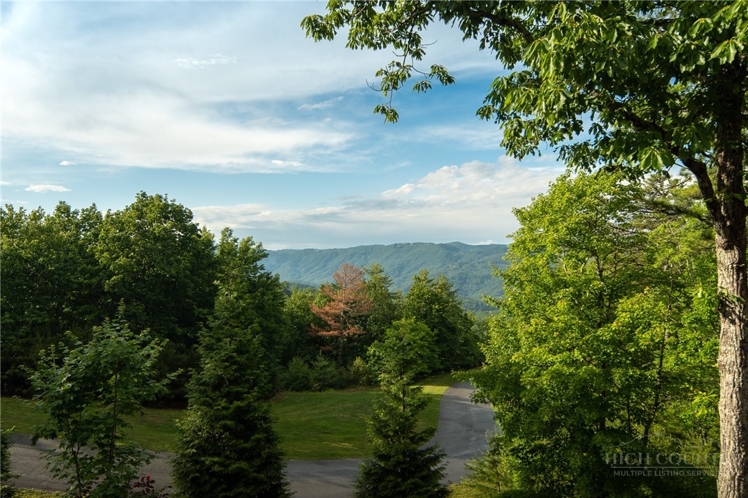 115 Passionflower Trail Boone, NC 28607 - Photo 21 of 50 a view of a lake from a yard