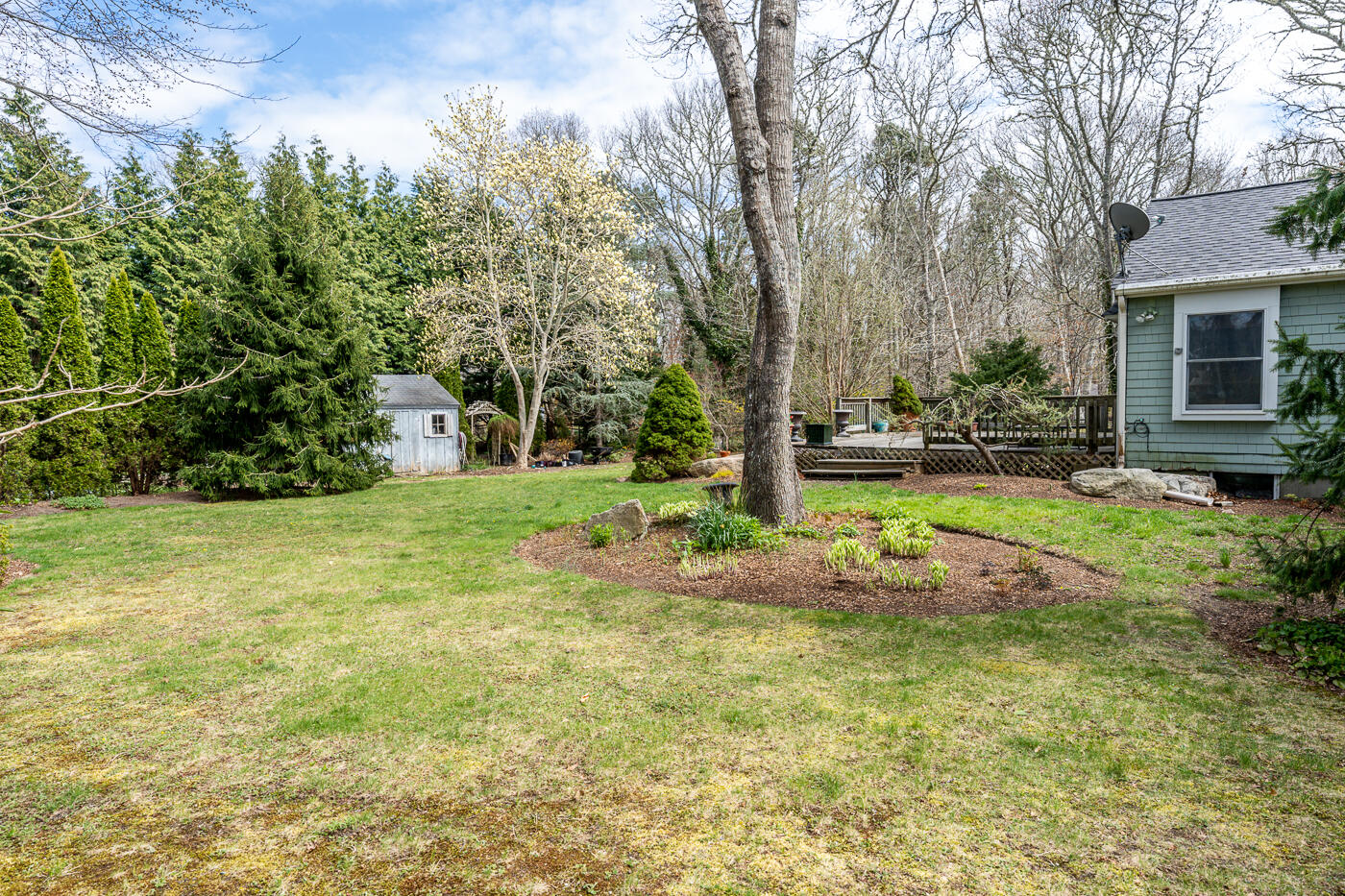45 Sheffield Road Brewster, MA 02631 - Photo 21 of 25 a view of backyard with large trees