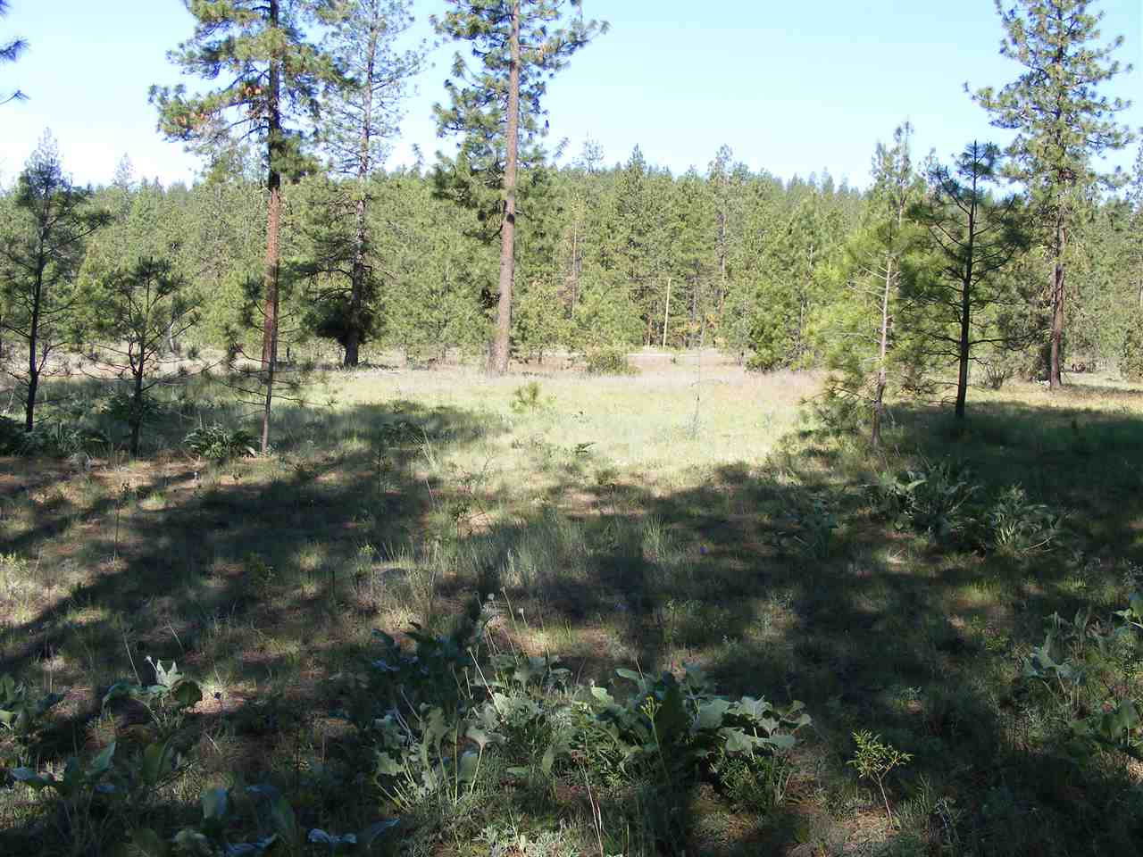 5457 K Tarbert Road Deer Park, WA 99006 - Photo 14 of 19 Gallery Image 14