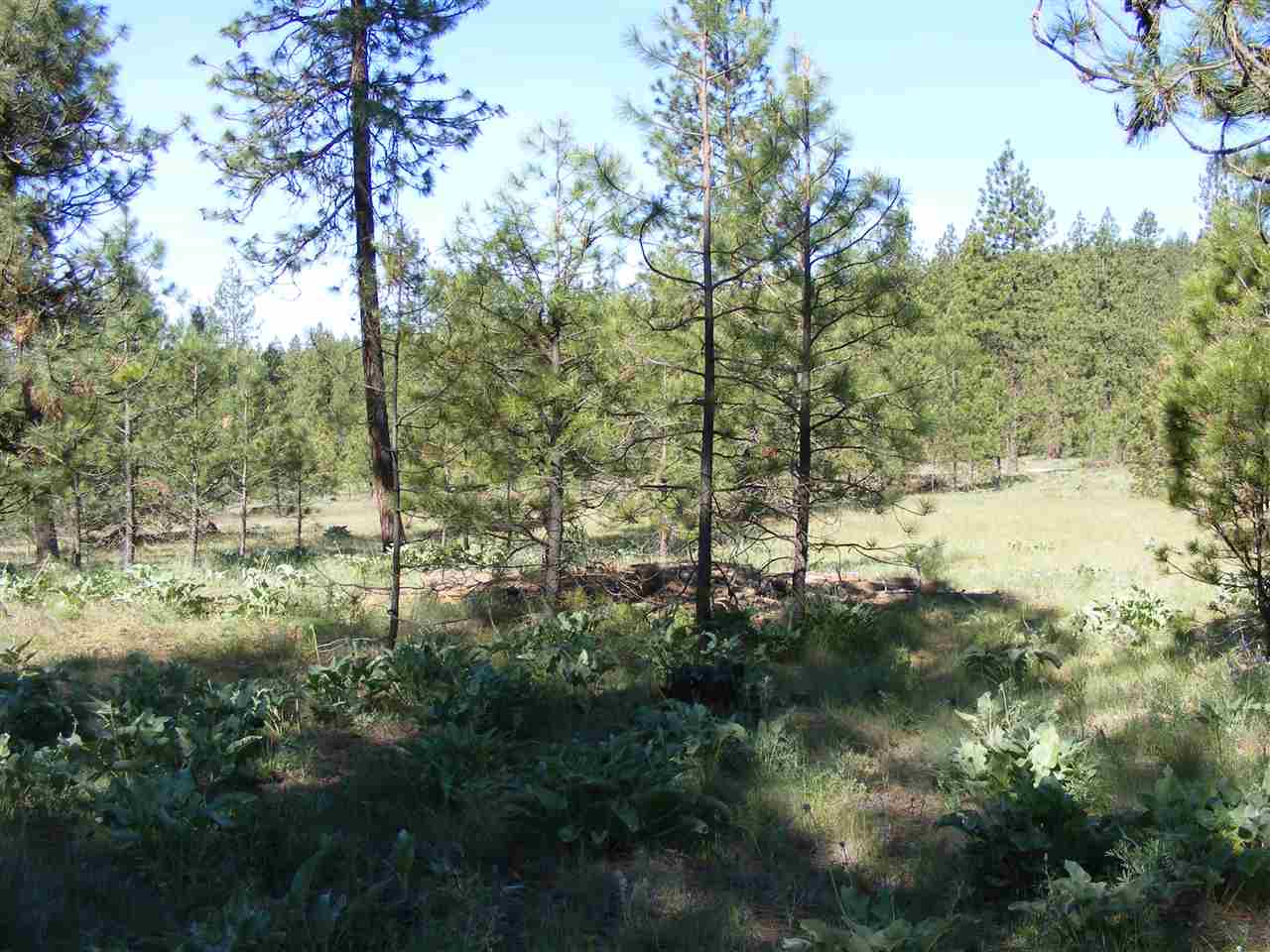 5457 K Tarbert Road Deer Park, WA 99006 - Photo 7 of 19 Gallery Image 7