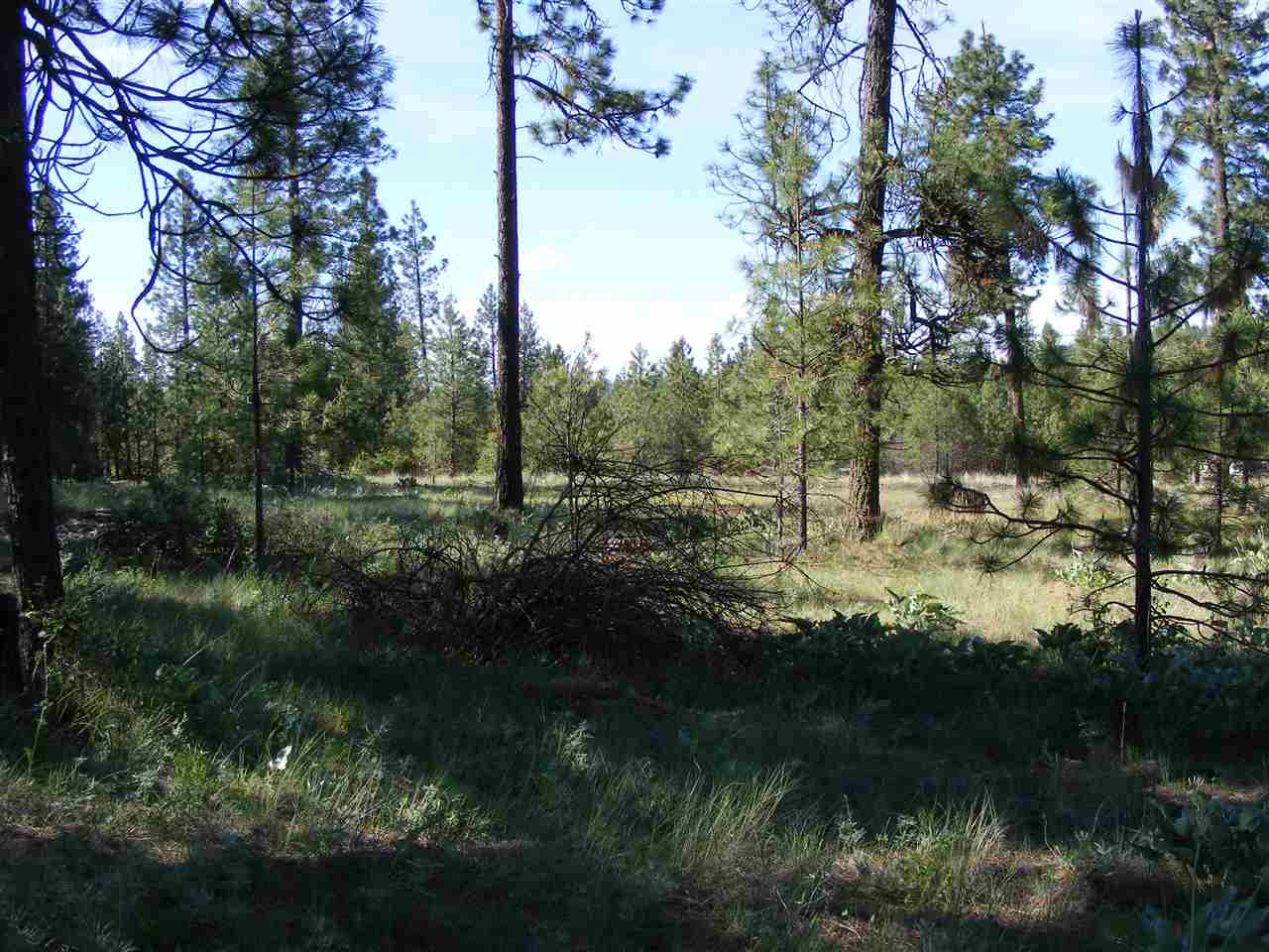 5457 K Tarbert Road Deer Park, WA 99006 - Photo 8 of 19 Gallery Image 8