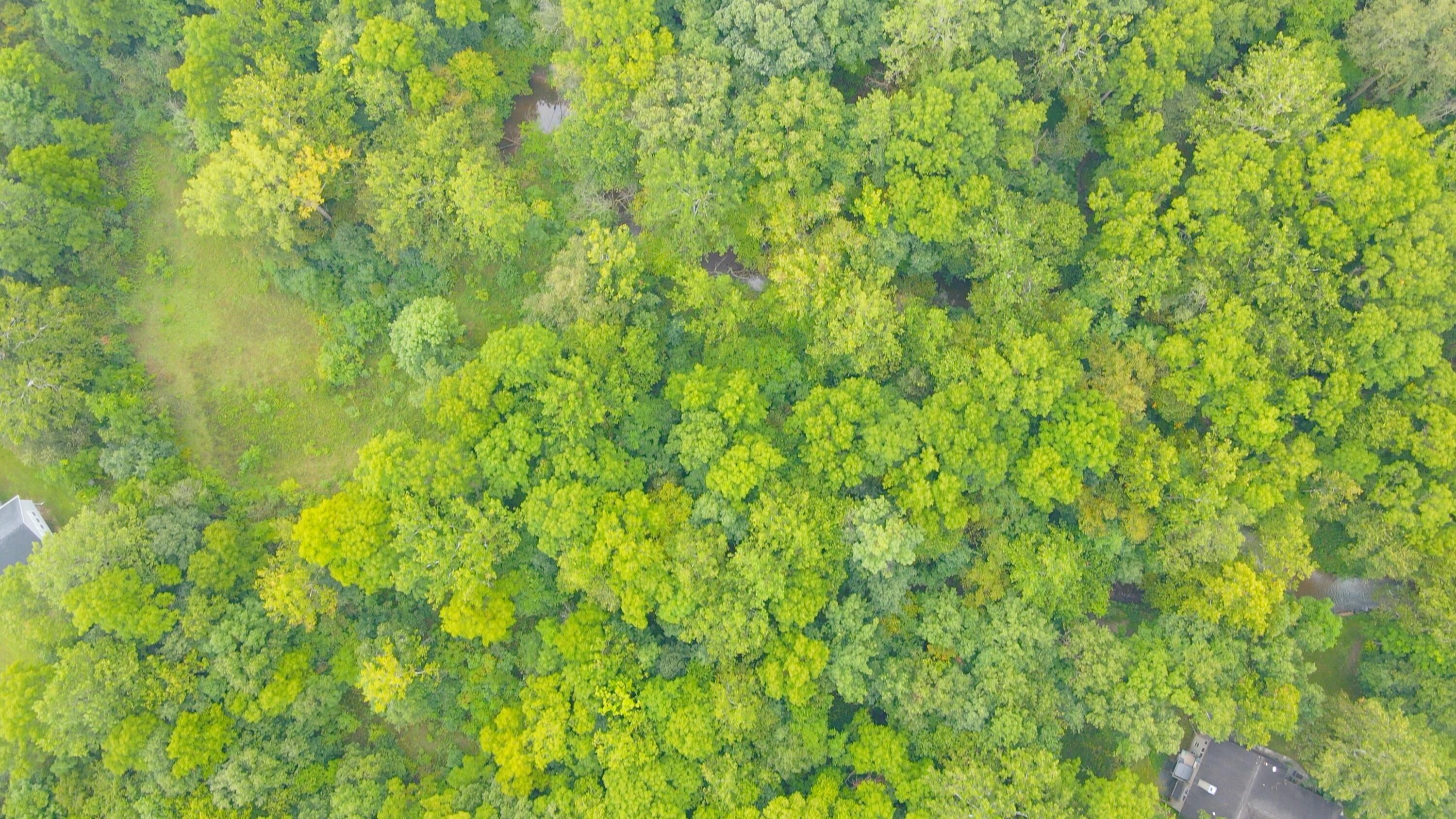 V/l West Garbow Road Middleville, MI 49333 - Photo 1 of 5 Garbow Road