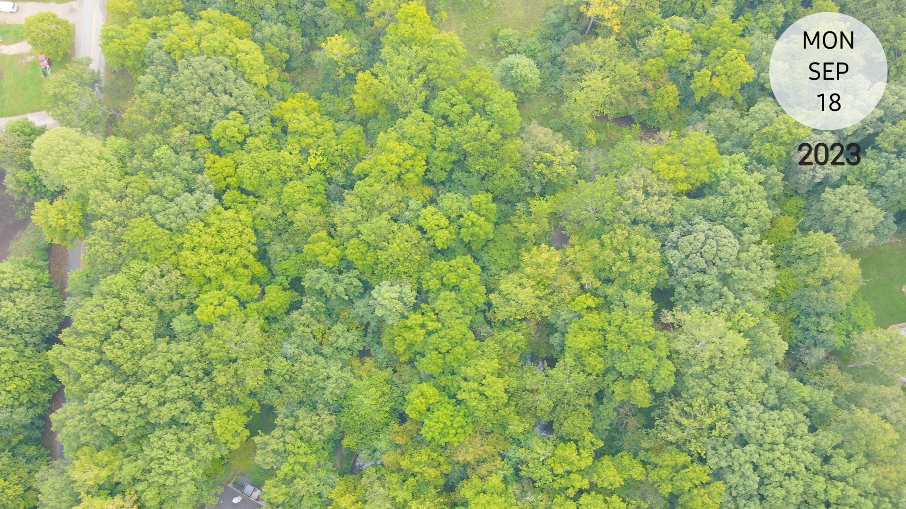V/l West Garbow Road Middleville, MI 49333 - Photo 2 of 5 Garbow Rd.
