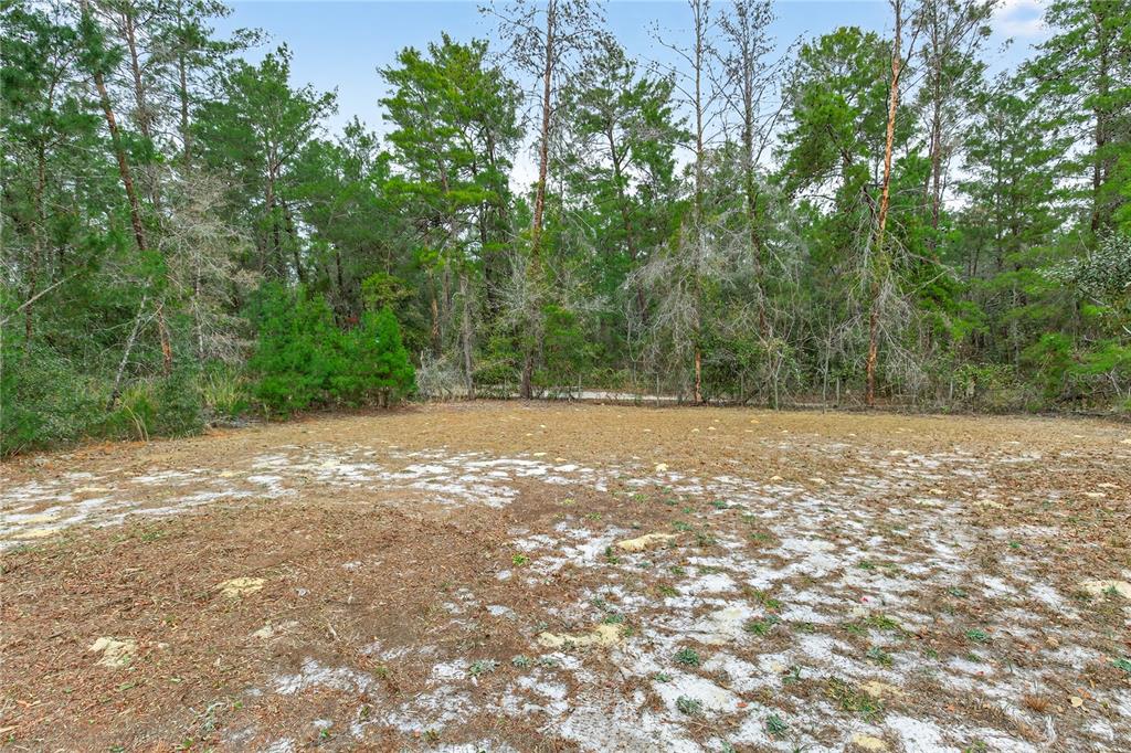 117 Stoddard Road Crescent City, FL 32112 - Photo 71 of 83