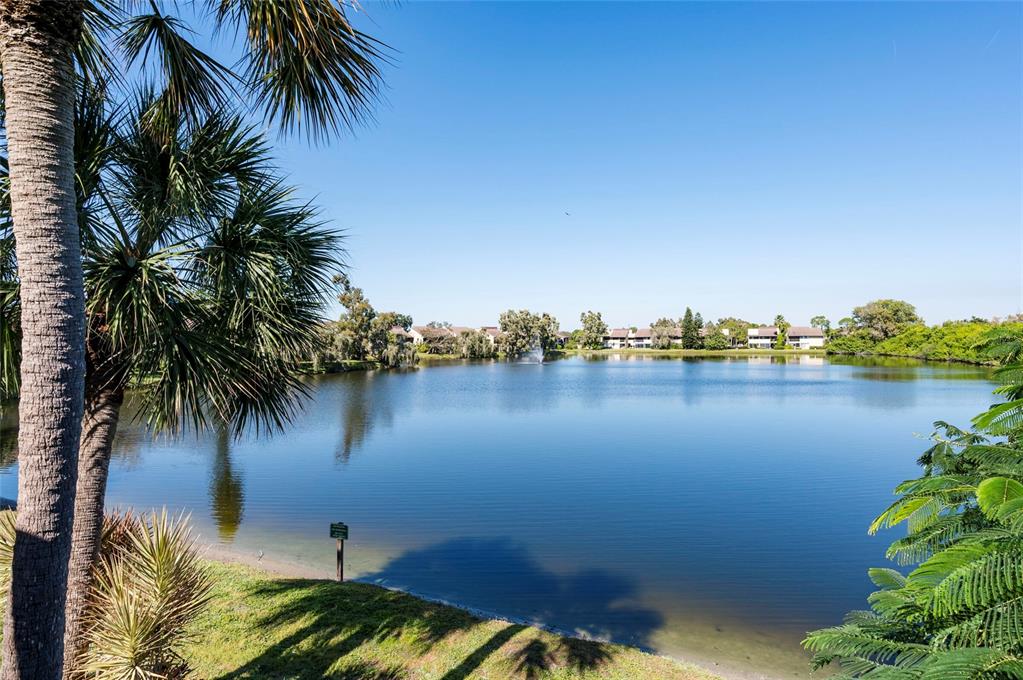 735 South Village Drive, Unit 206 St. Petersburg, FL 33716 - Photo 16 of 45 a view of a lake with a palm tree