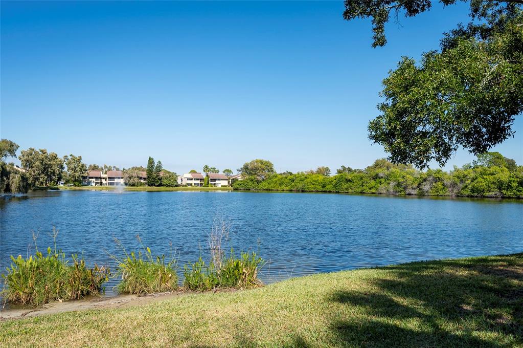 735 South Village Drive, Unit 206 St. Petersburg, FL 33716 - Photo 33 of 45 a view of lake