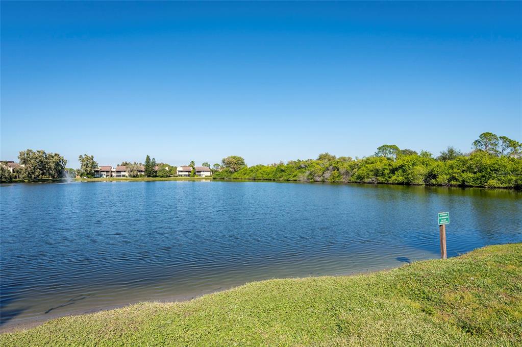 735 South Village Drive, Unit 206 St. Petersburg, FL 33716 - Photo 34 of 45 a view of a lake view
