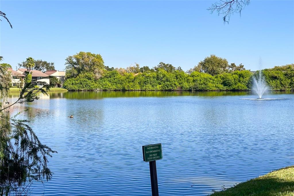735 South Village Drive, Unit 206 St. Petersburg, FL 33716 - Photo 41 of 45 a view of a lake