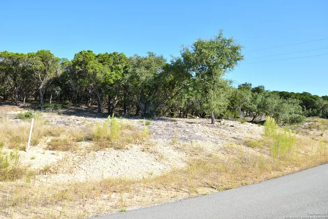 a view of a yard with a tree