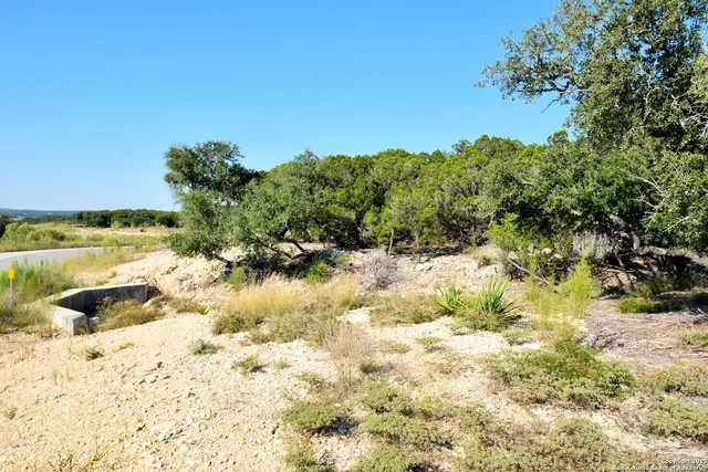 a view of backyard with large trees