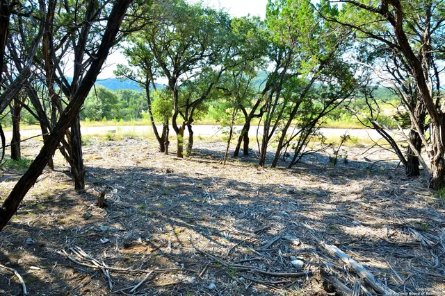 a big yard with lots of green space and fountain