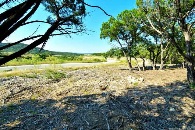 a view of yard with large trees