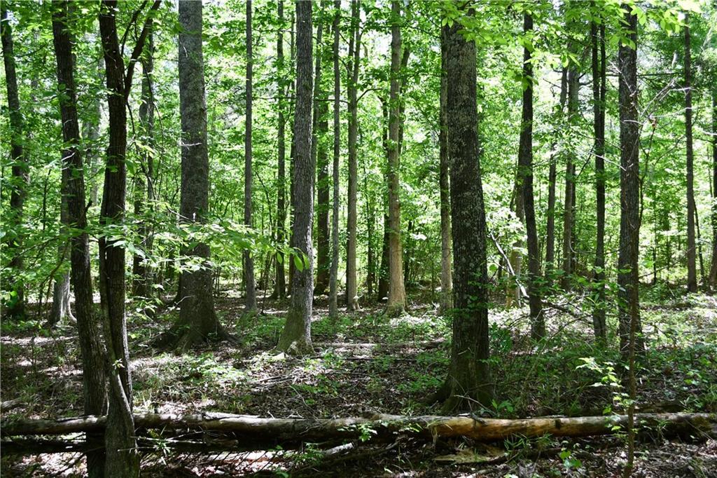1 Wilson Road Temple, GA 30179 - Photo 23 of 88