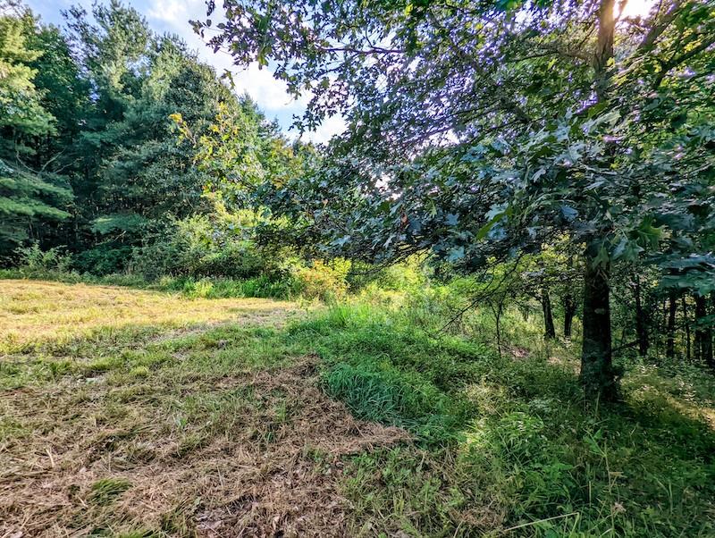 Tbd Red Oak Grove Road Northeast Floyd, VA 24091 - Photo 32 of 33 Gallery Image 32
