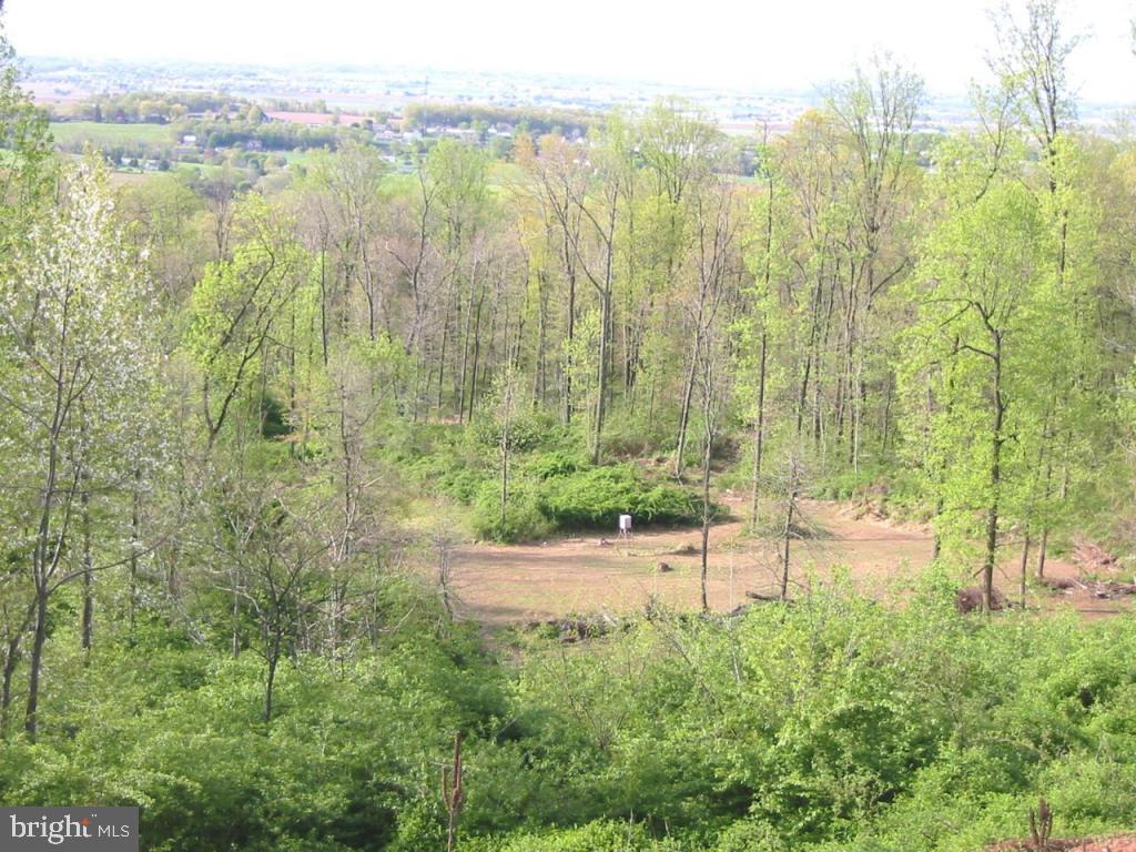 1575 Furnace Hill Road Denver, PA 17517 - Photo 7 of 18