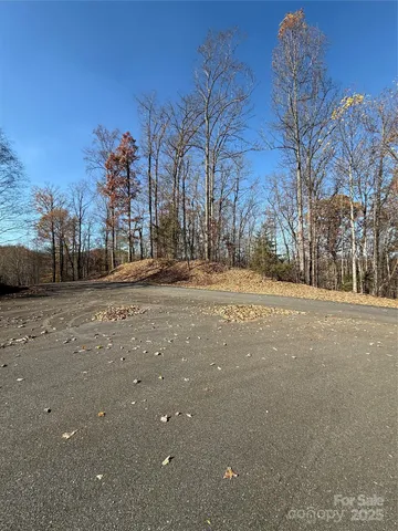 a view of road and covered with snow