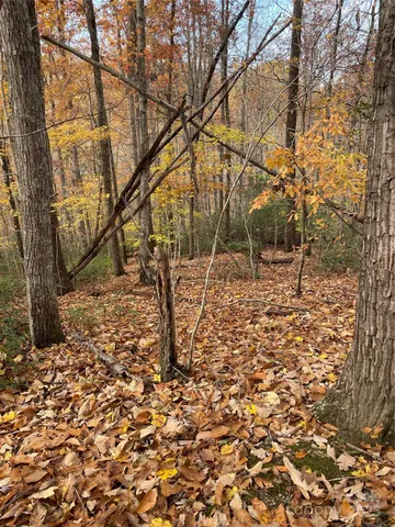 a backyard of a house with lots of trees