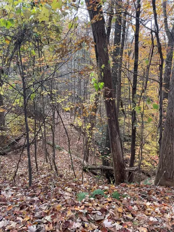 a backyard of a house