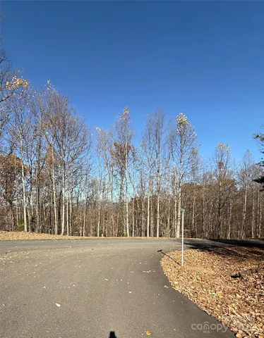 a view of road with large trees
