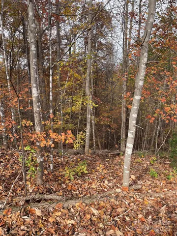 a backyard of a building