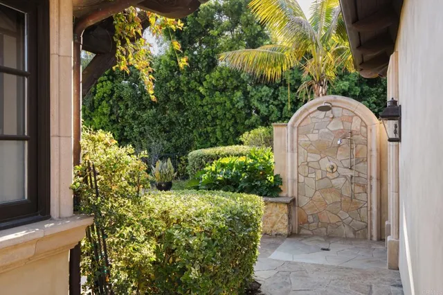 a view of a bird view of a tree